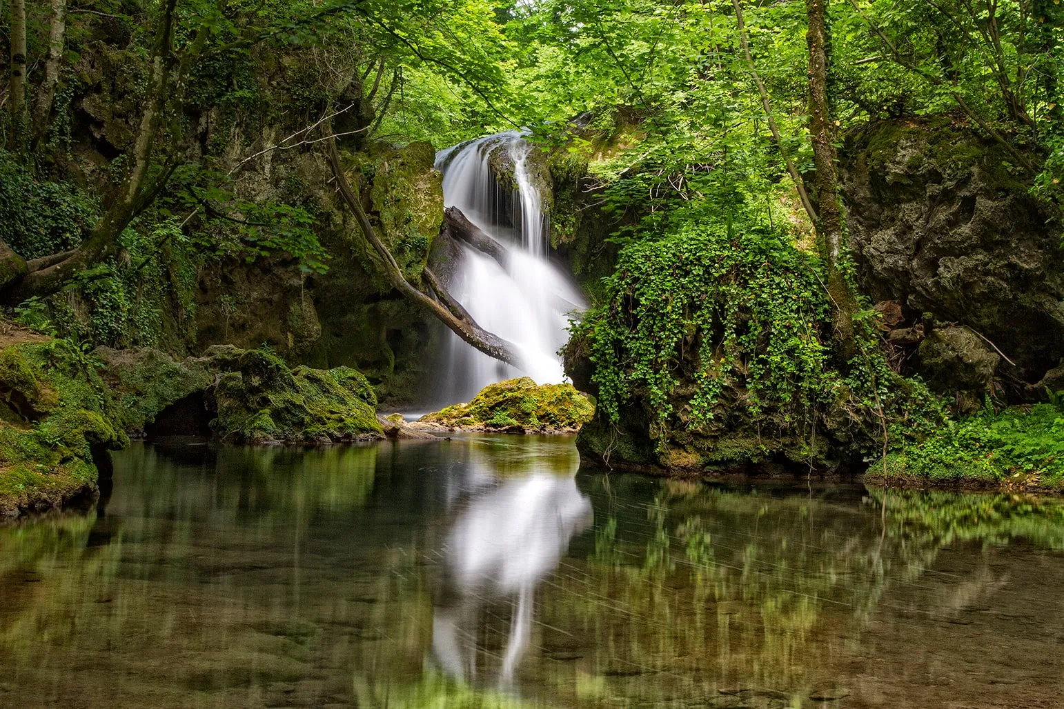 A moment of peace