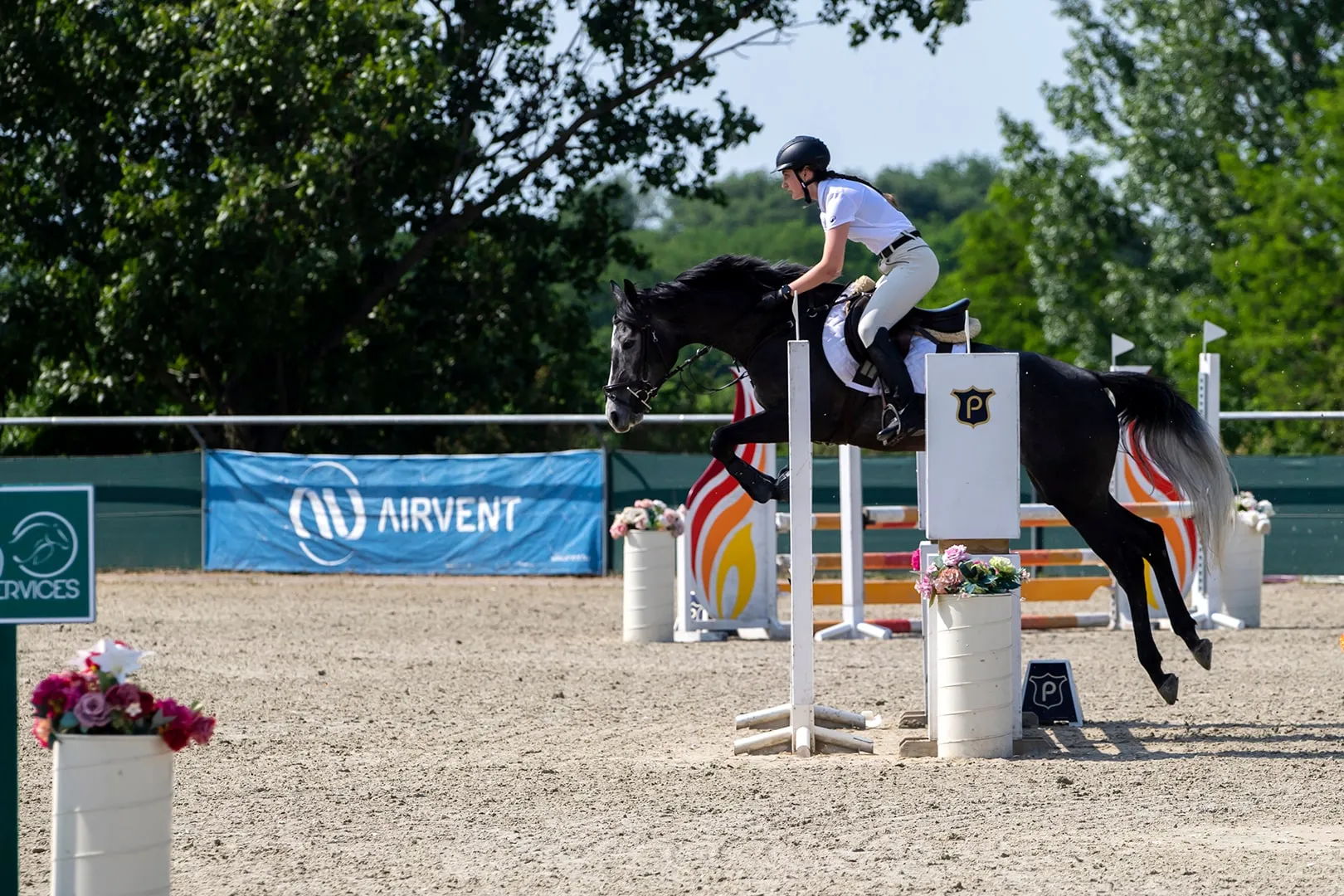 They jump together