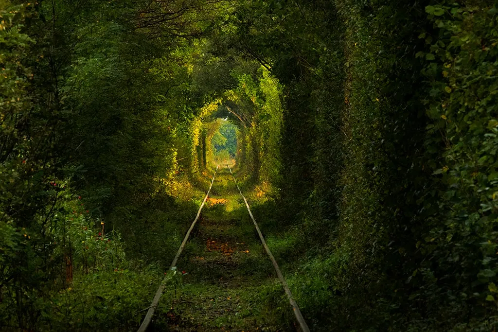Tunnel of love