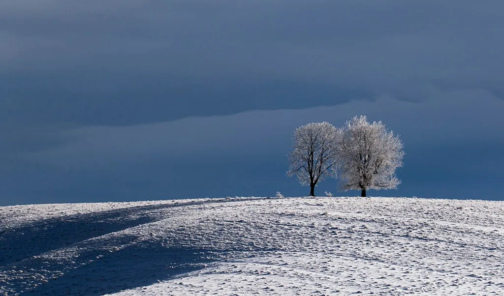 Loneliness in two