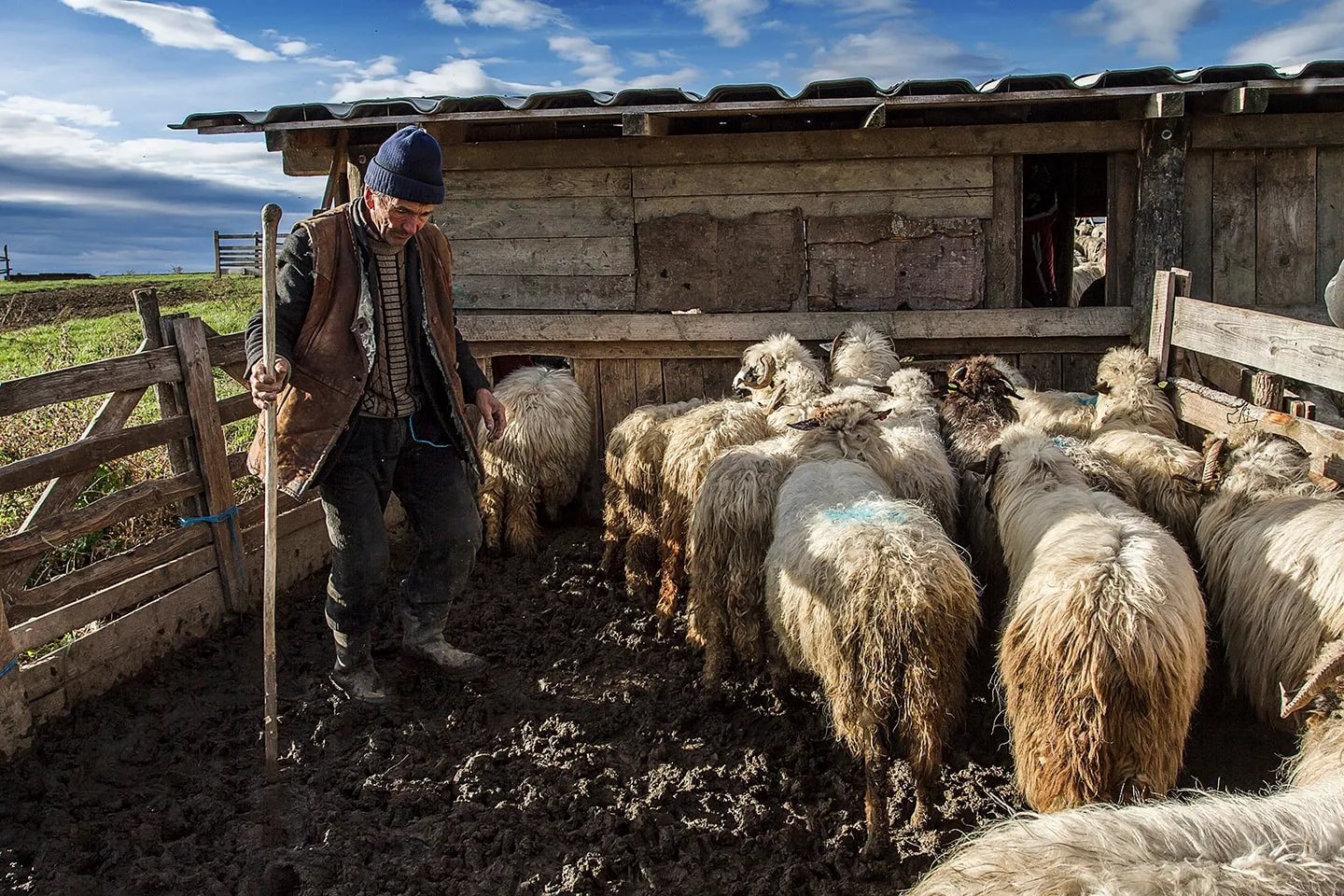 Mud and work